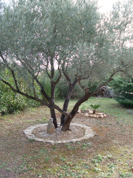 L'OLIVIER