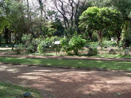 MON VOYAGE A BUENOS AIRES